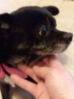 Ethel