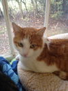 PARKER Look at Me!!