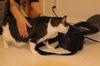 Sammy-