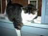 Sammy-
