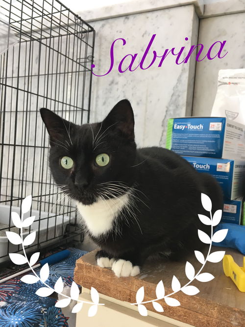 Sabrina-Meet me at Petco Harrisburg