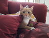 Randy-Very Affectionate