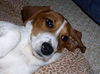 Maggie