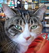 Dali-Visit Me At Petco ( Jonestown Rd)