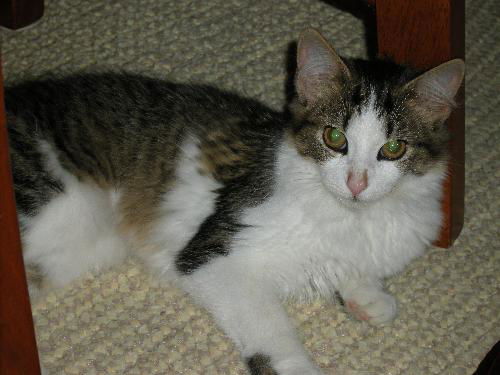 ABBIE, Friendly and outgoing