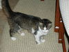 ABBIE, Friendly and outgoing