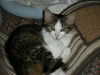 ABBIE, Friendly and outgoing
