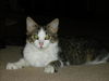 ABBIE, Friendly and outgoing