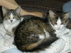 ABBIE, Friendly and outgoing