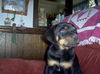 Parker