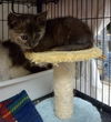 Heidi- Loves playtime!