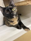 Winnie Meet Me at Petco Mechanicsburg!