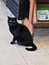 Farrah Meet Me at Petco Mechanicsburg!