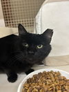 Farrah Meet Me at Petco Mechanicsburg!