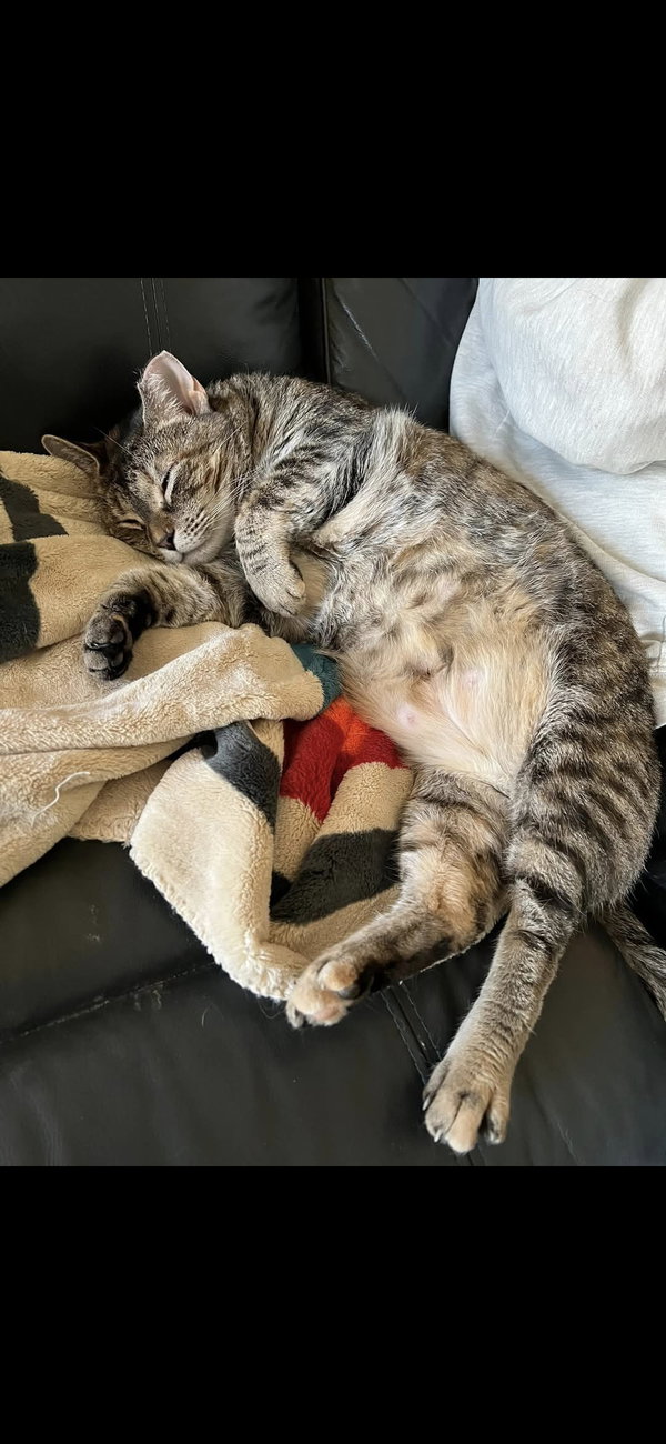 Penelope