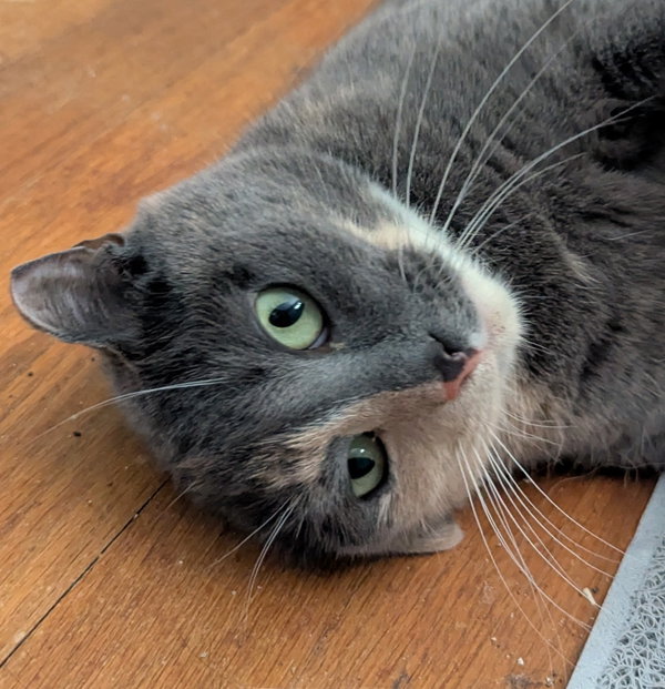 Lexie