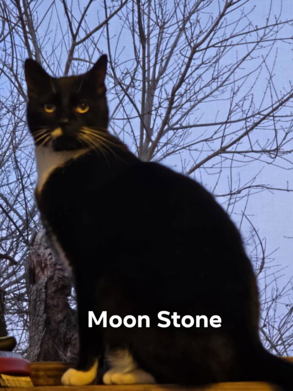 Moonstone