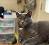 Luna - Photo 1