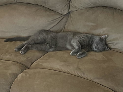 Photo 4 of Luna