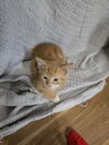 Charlie