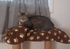 Ruby - Photo 5