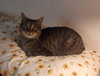 Ruby - Photo 4