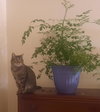 Ruby - Photo 3
