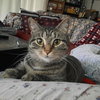 Ruby - Photo 1