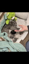 Kala - Come meet me at Petco on Jonestown Rd!