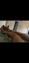 Ojo - Pro Snuggler - Photo 2
