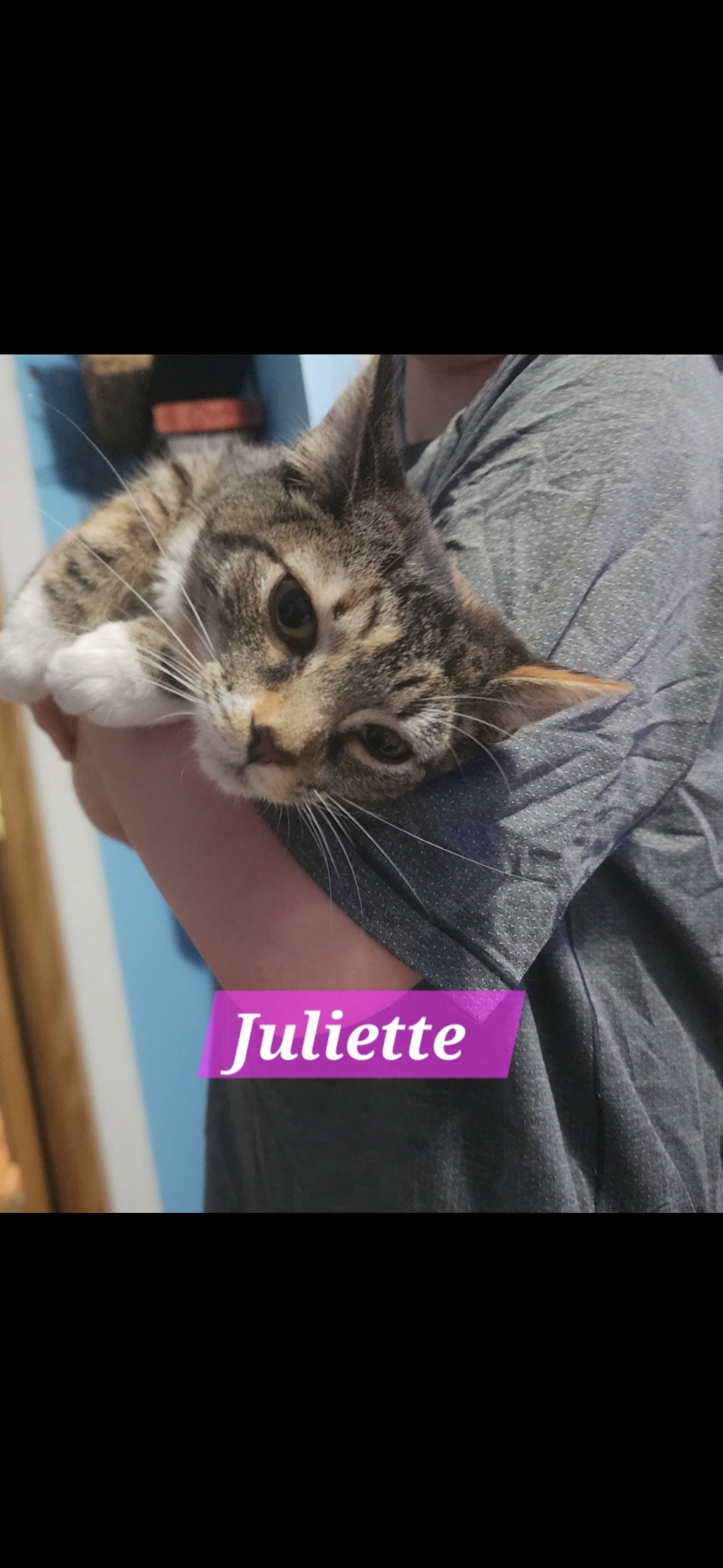 Juliette
