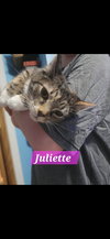 Juliette - Photo 1