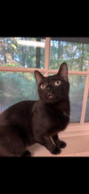 Sasha - Photo 2
