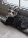 Lucky - Photo 1