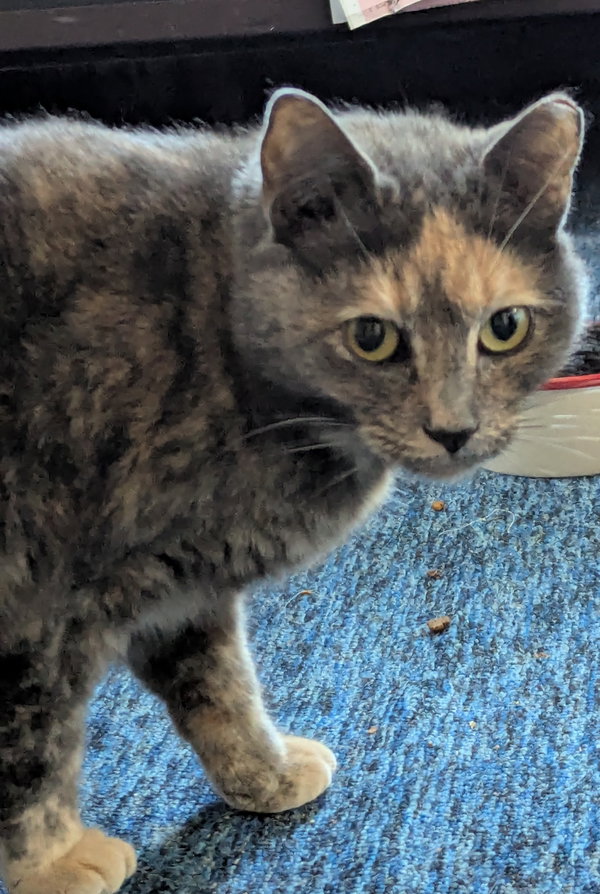 Mia