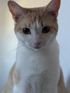 Dean - Photo 1