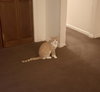 OCTAVIAN - Photo 2