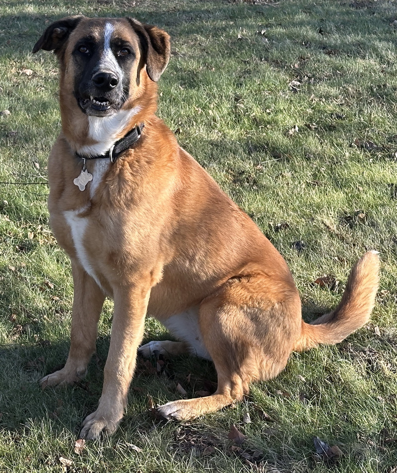 Sheila