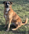 Sheila - Photo 1