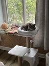 Po - Photo 4