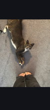 Willa - Photo 2