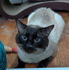 Dudley - Photo 4