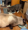 Dudley - Photo 5