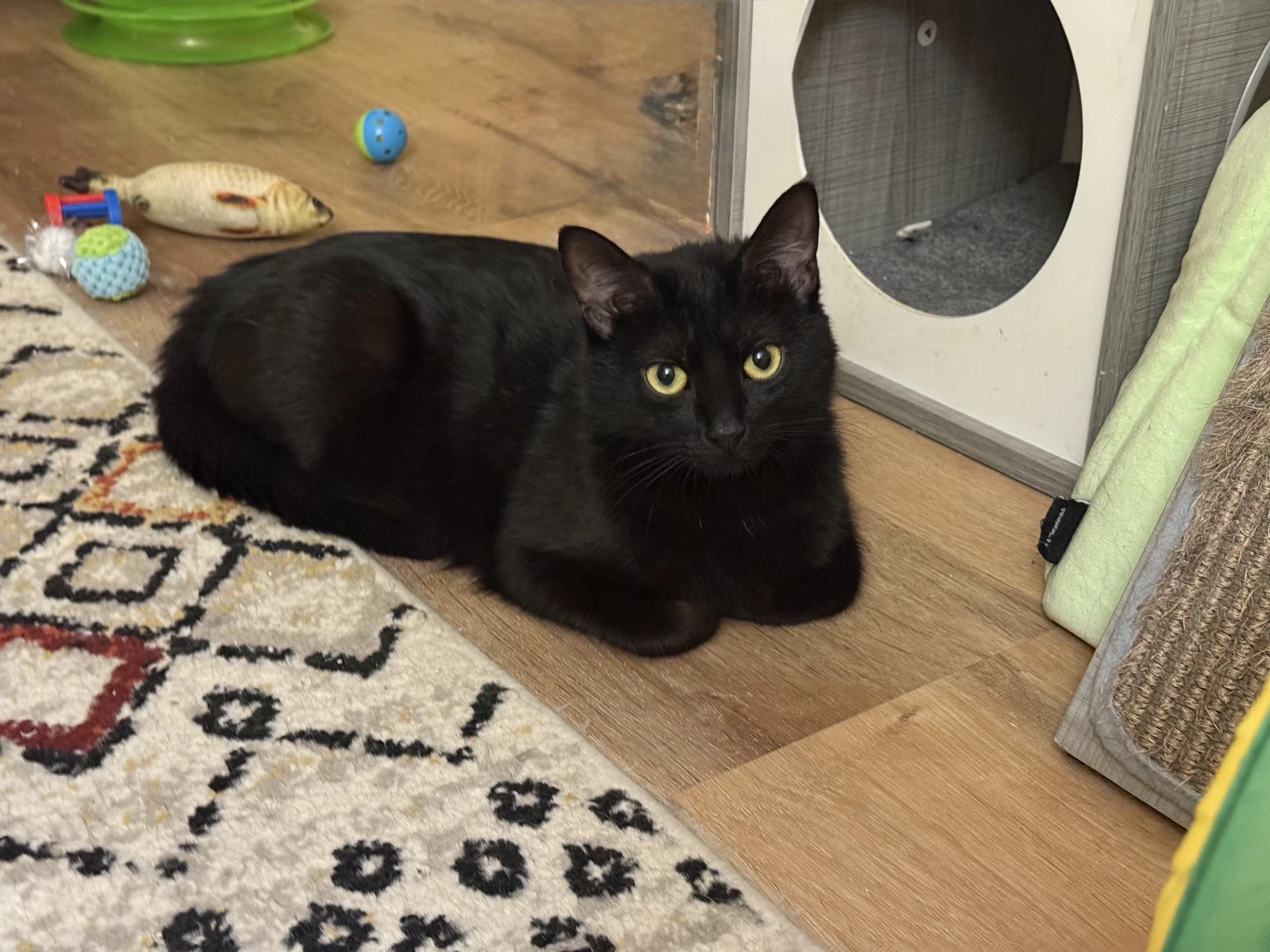 Zoe