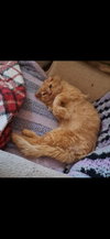 Hootie - Photo 3