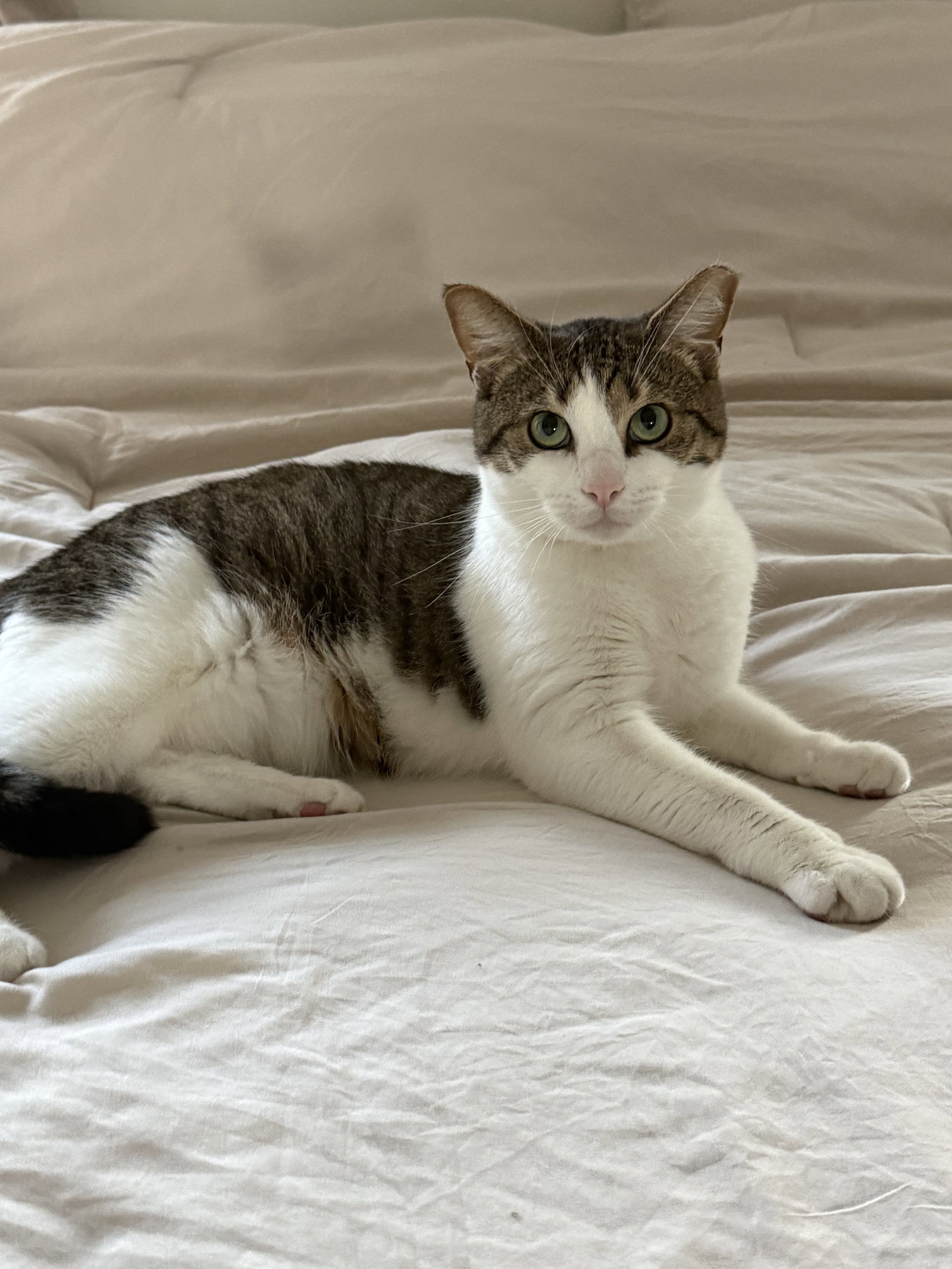 Mabel, photo 5