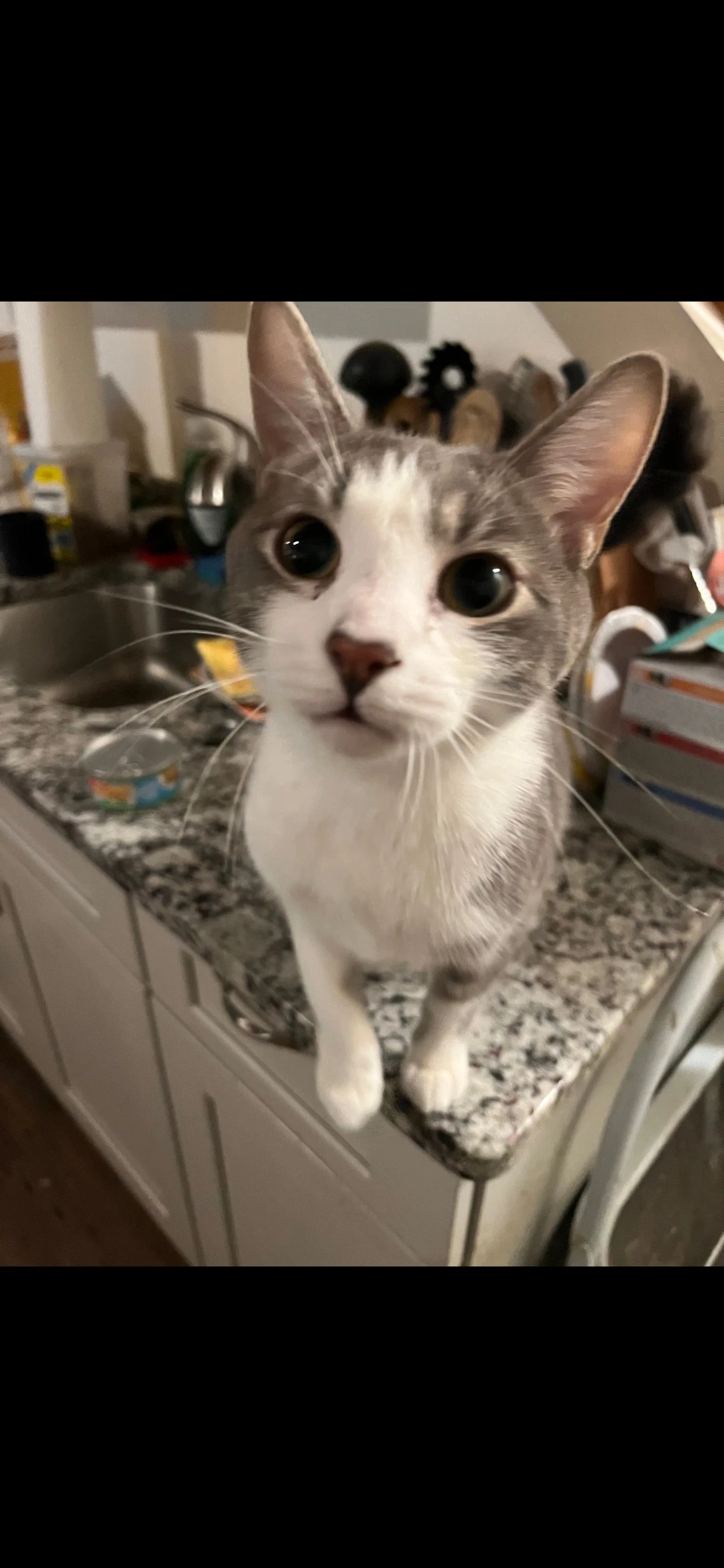 Whiskey