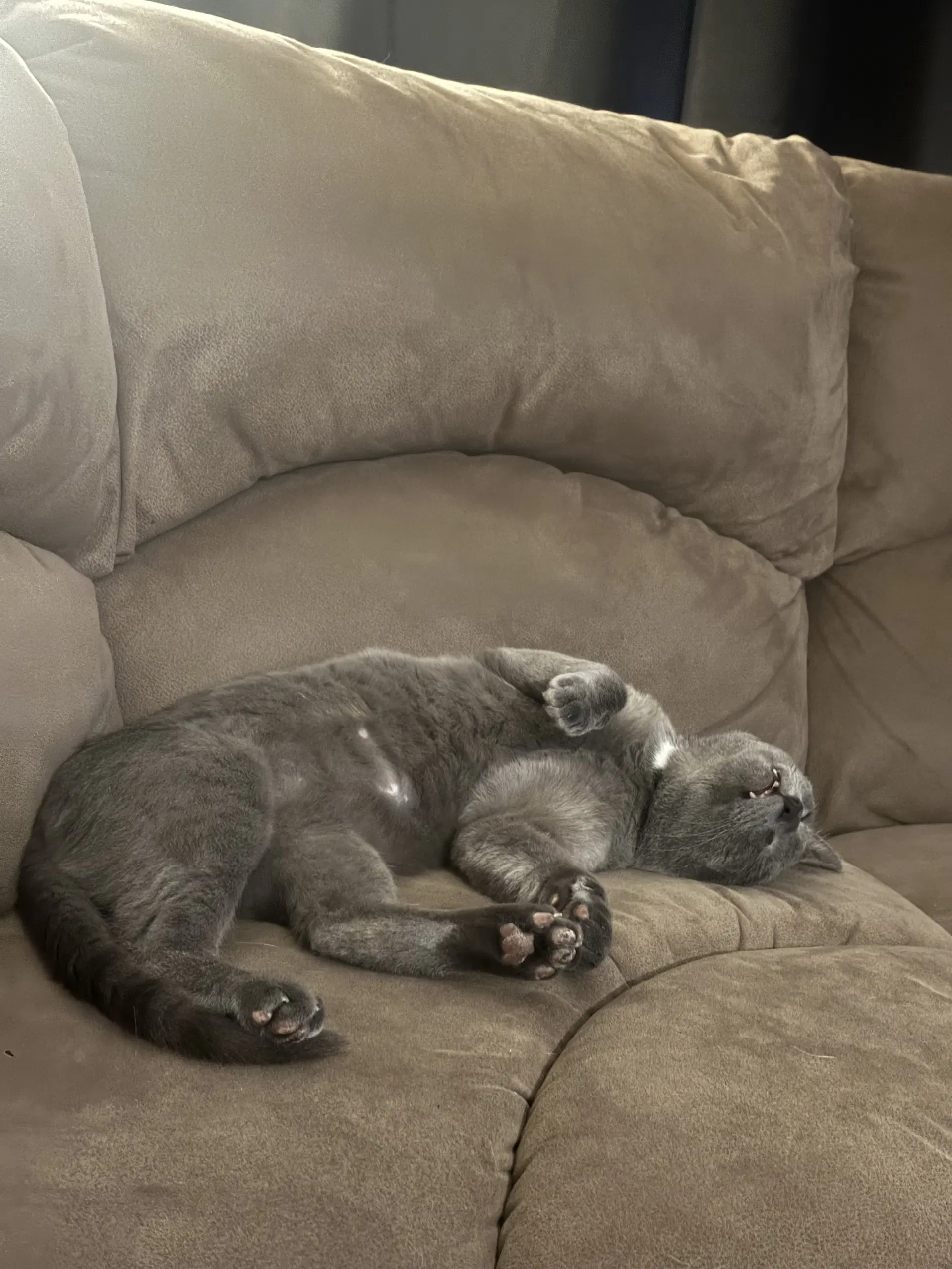 Lennox image 4