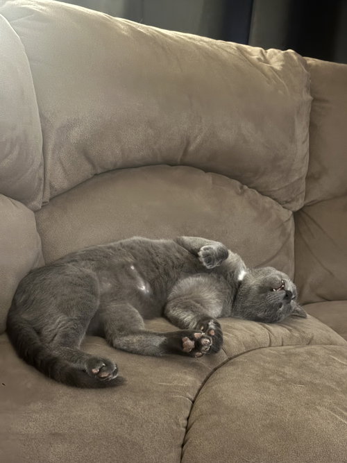 Photo 4 of Lennox