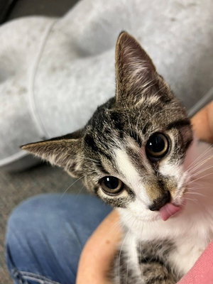 Tequila, photo 2